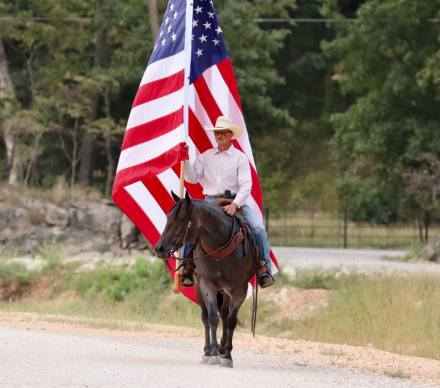 HorseID: 2302673 FUN CULPEPPER FOUR - PhotoID: 1084957