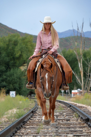 HorseID: 2302675 PEPTOS ROYAL CAT - PhotoID: 1084963