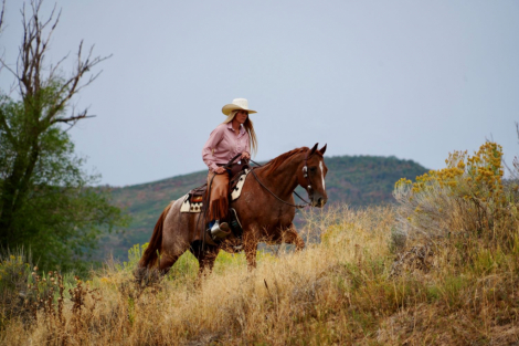 HorseID: 2302675 PEPTOS ROYAL CAT - PhotoID: 1084964