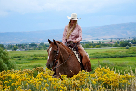 HorseID: 2302675 PEPTOS ROYAL CAT - PhotoID: 1084965