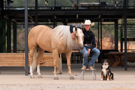 HorseID: 2302676 BIG SKY ENTERPRISE - PhotoID: 1084968