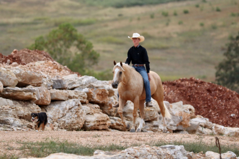 HorseID: 2302676 BIG SKY ENTERPRISE - PhotoID: 1084969