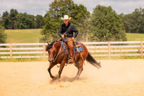 HorseID: 2302677 JC CALL ME ELECTRIC - PhotoID: 1084971