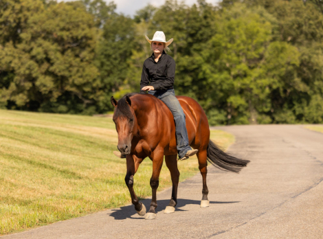 HorseID: 2302677 JC CALL ME ELECTRIC - PhotoID: 1084972