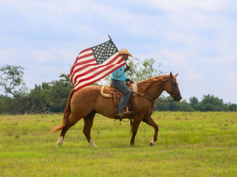 HorseID: 2302678 BRILEY BOY NAMED SUE - PhotoID: 1084976