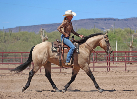 HorseID: 2302679 HR WIMPY FROM HEAVEN - PhotoID: 1084980