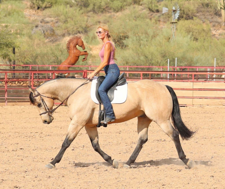 HorseID: 2302679 HR WIMPY FROM HEAVEN - PhotoID: 1084982