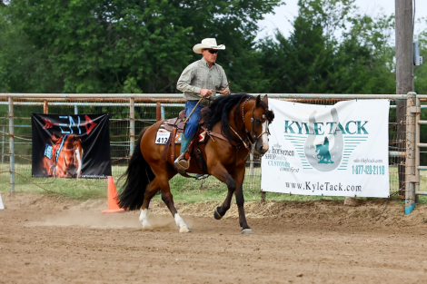 HorseID: 2302681 LIKE A BOSS - PhotoID: 1084988