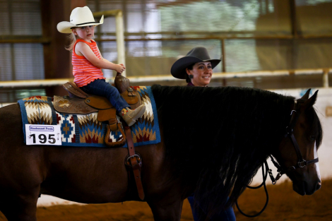 HorseID: 2302681 LIKE A BOSS - PhotoID: 1084990