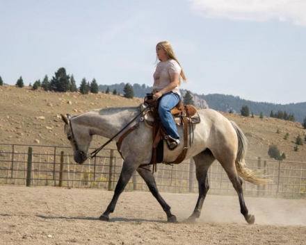 HorseID: 2302682 DRIFTERS LEO LADY - PhotoID: 1084993