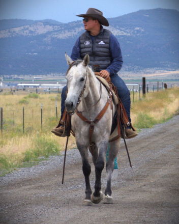 HorseID: 2302682 DRIFTERS LEO LADY - PhotoID: 1084994