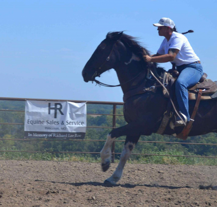 HorseID: 2302690 Cruz HS - PhotoID: 1085037