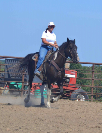 HorseID: 2302690 Cruz HS - PhotoID: 1085038