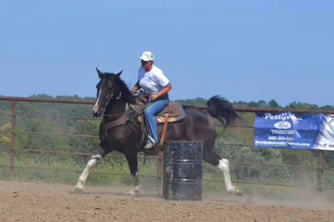 HorseID: 2302690 Cruz HS - PhotoID: 1085039