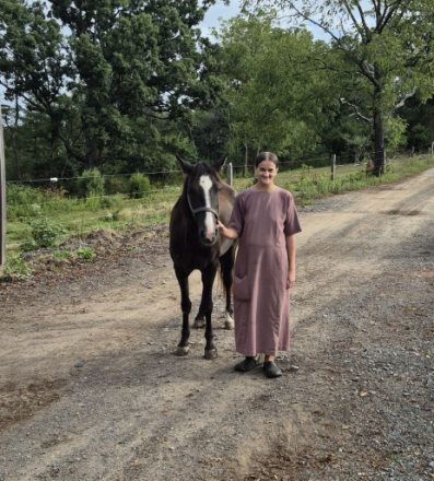 HorseID: 2302719 Merly - PhotoID: 1085064