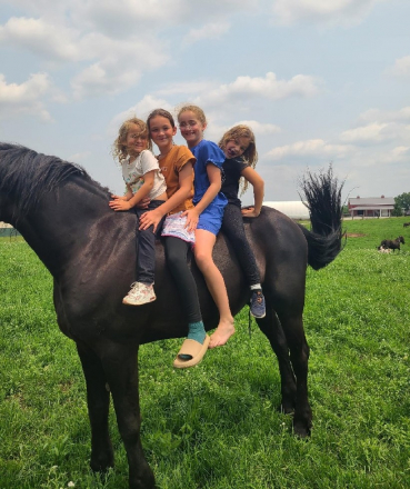 HorseID: 2302725 SARGE - PhotoID: 1085533