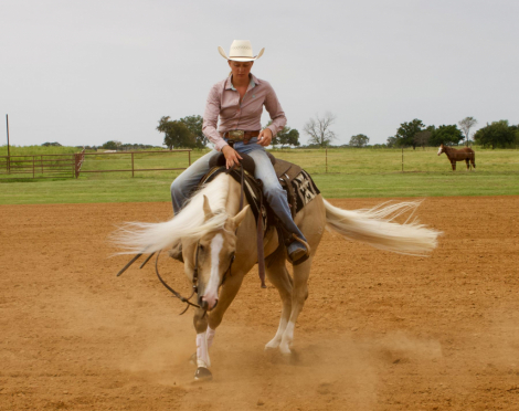 HorseID: 2302729 SS GONE PLATINUM - PhotoID: 1085072