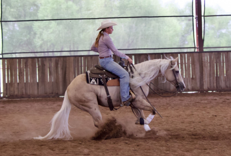 HorseID: 2302729 SS GONE PLATINUM - PhotoID: 1085074