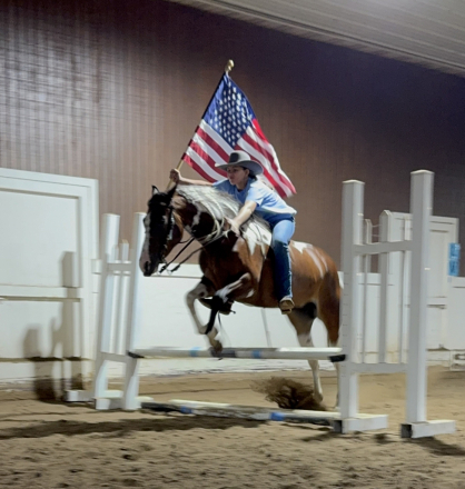 HorseID: 2302732 DSR NEW CUT DIAMOND - PhotoID: 1085078