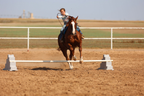 HorseID: 2302736 WR ONE GOOD TIME - PhotoID: 1085084