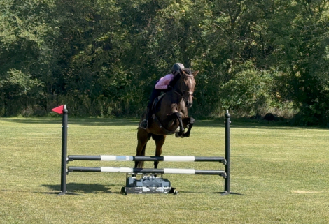 HorseID: 2302758 Miss Madeline - PhotoID: 1085091