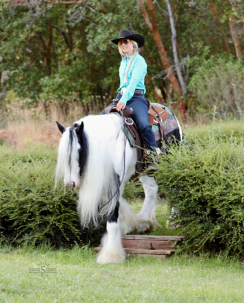 HorseID: 2302766 PF BIG BEAR - PhotoID: 1085099