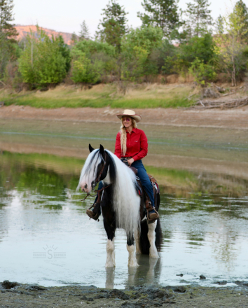 HorseID: 2302766 PF BIG BEAR - PhotoID: 1085100