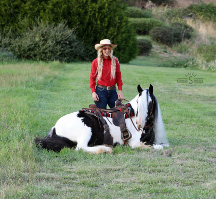 HorseID: 2302766 PF BIG BEAR - PhotoID: 1085101