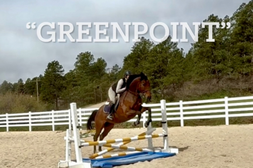 HorseID: 2302773 Greenpoint - PhotoID: 1085277