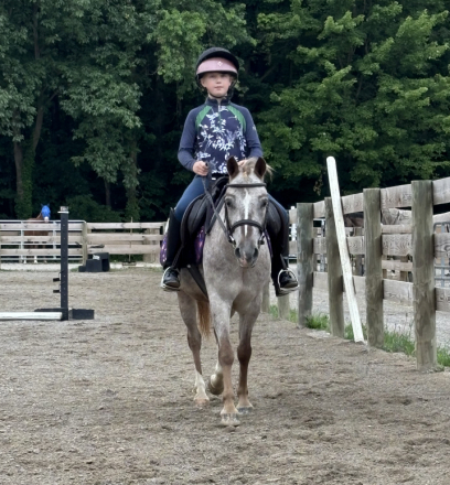 HorseID: 2302787 Strawberry Pony - PhotoID: 1085123