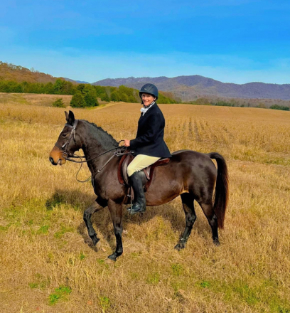 HorseID: 2302788 Stella - PhotoID: 1085128