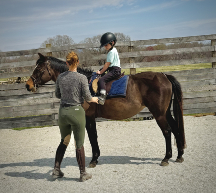 HorseID: 2302788 Stella - PhotoID: 1085130