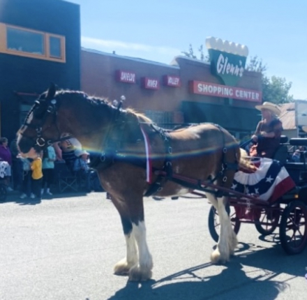 HorseID: 2302792 ALAMAR MALIA - PhotoID: 1085145