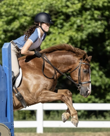 HorseID: 2302794 Zip - PhotoID: 1085148