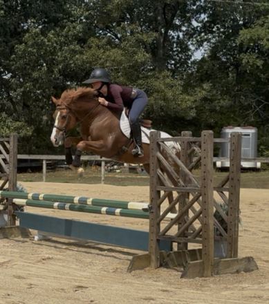 HorseID: 2302794 Zip - PhotoID: 1085149