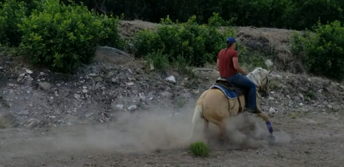 HorseID: 2302796 Perfect top drift - PhotoID: 1085151