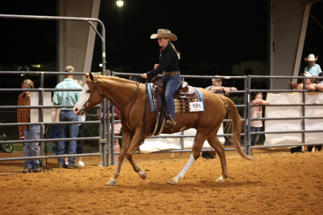 HorseID: 2302802 All Sorts of Special - PhotoID: 1085158