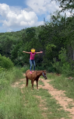 HorseID: 2302806 Blaze - PhotoID: 1085164