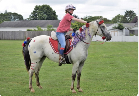 HorseID: 2302810 Wishes Purple Rain - PhotoID: 1085168