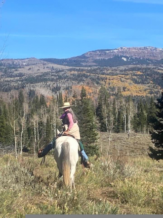 HorseID: 2302814 Yankee - PhotoID: 1085259