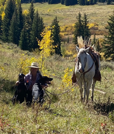 HorseID: 2302814 Yankee - PhotoID: 1085261