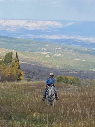 HorseID: 2302814 Yankee - PhotoID: 1085262