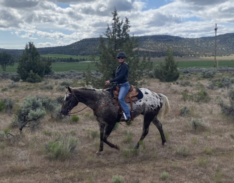 HorseID: 2302819 Blake - PhotoID: 1085178