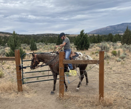 HorseID: 2302819 Blake - PhotoID: 1085179