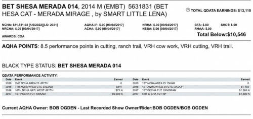 HorseID: 2302828 Bet Shesa Merada 014 - PhotoID: 1085192