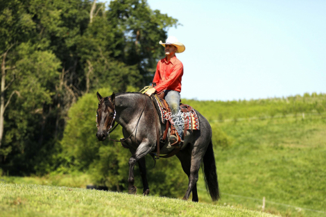 HorseID: 2302829 DOC WATCH ME SLIDE - PhotoID: 1085194