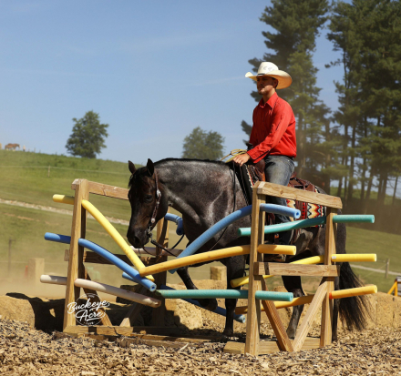 HorseID: 2302829 DOC WATCH ME SLIDE - PhotoID: 1085196