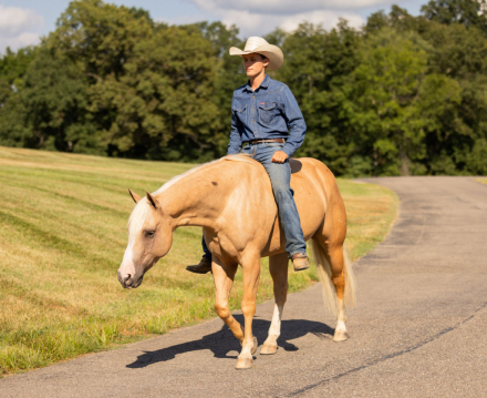 HorseID: 2302830 SPOOK THE GUNMAN - PhotoID: 1085198