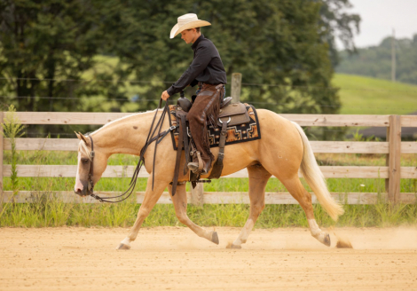 HorseID: 2302830 SPOOK THE GUNMAN - PhotoID: 1085199