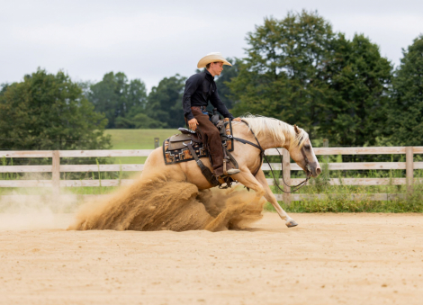 HorseID: 2302830 SPOOK THE GUNMAN - PhotoID: 1085200